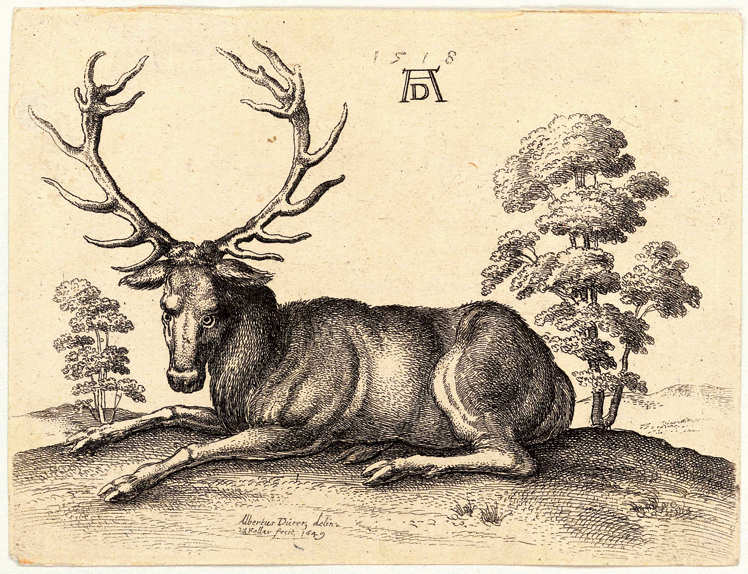   阿尔布雷特·丢勒Albrecht Dürer——素描与版画 (146)